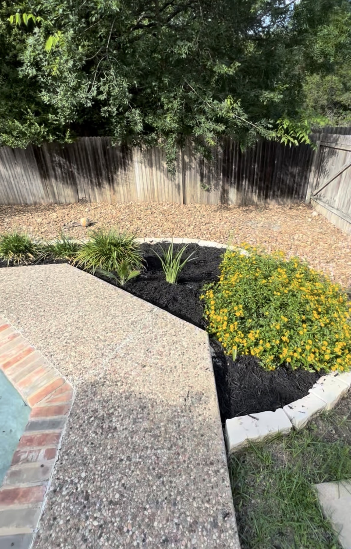 Native Plant Garden